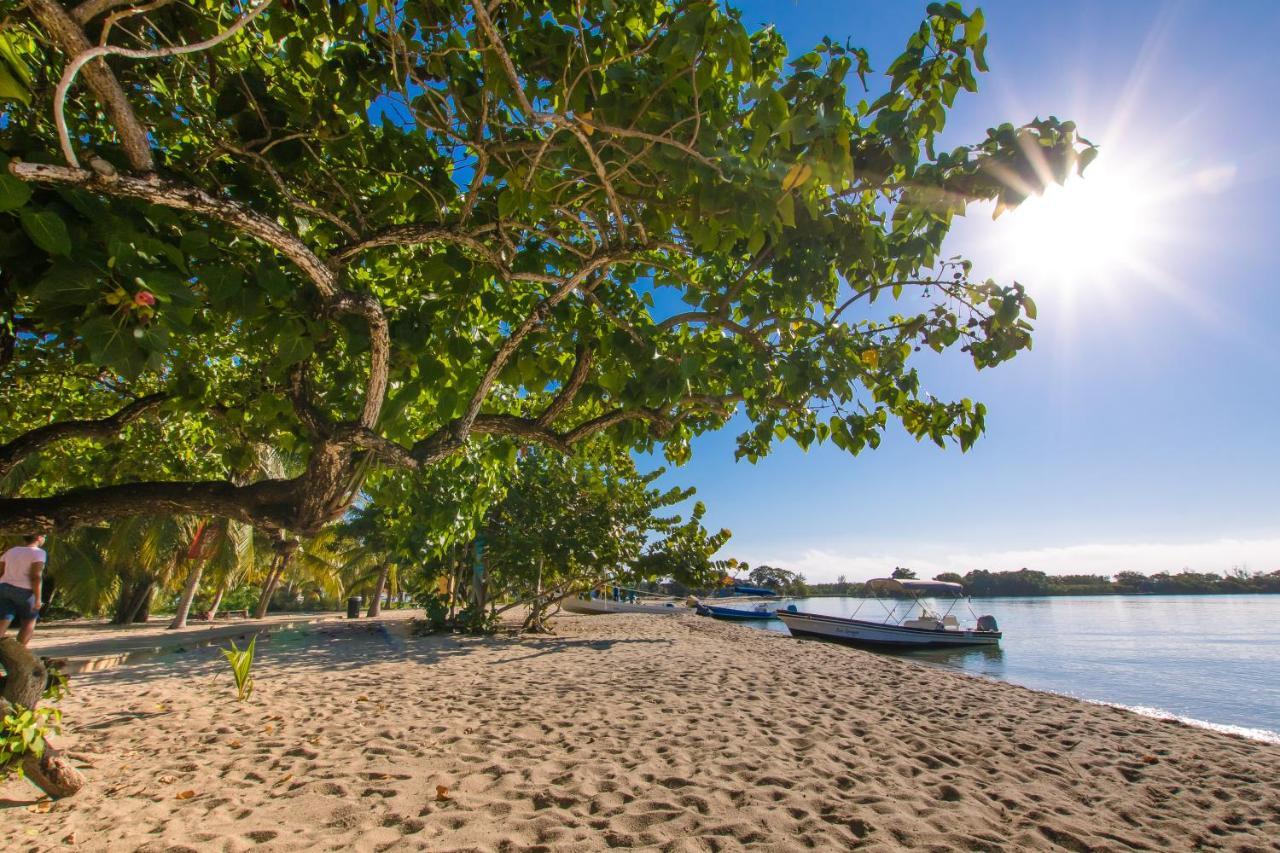 Apartmán Khalkob'S Estate Placencia Exteriér fotografie