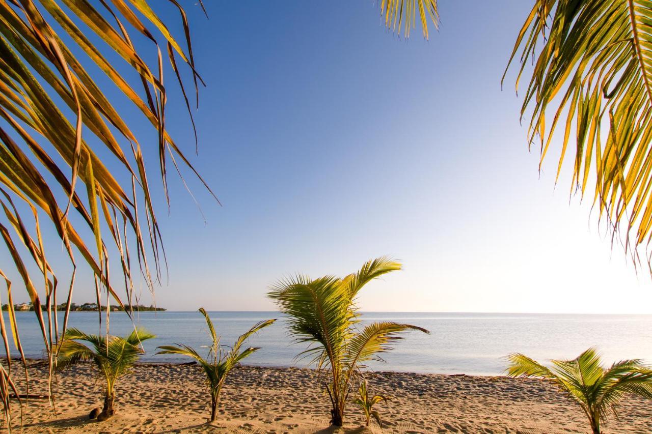 Apartmán Khalkob'S Estate Placencia Exteriér fotografie
